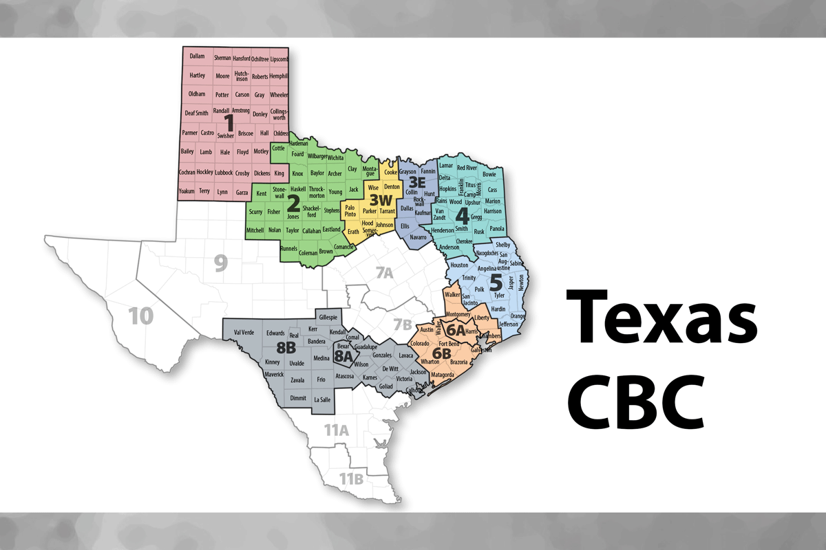 SSCC Stage I Go-Live in Region 8A