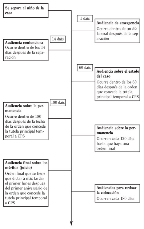 Resumen del trámite de 12 meses ante la corte por casos de maltrato y descuido de niños